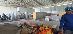 ZURU AGRO - LA PAZ TARLAC - SLAUGHTHER HOUSE PROJECT - COLD STORAGE (14)